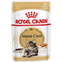 Royal Canin Maine Coon Adult in Soße - 12 x 85 g von Royal Canin Breed