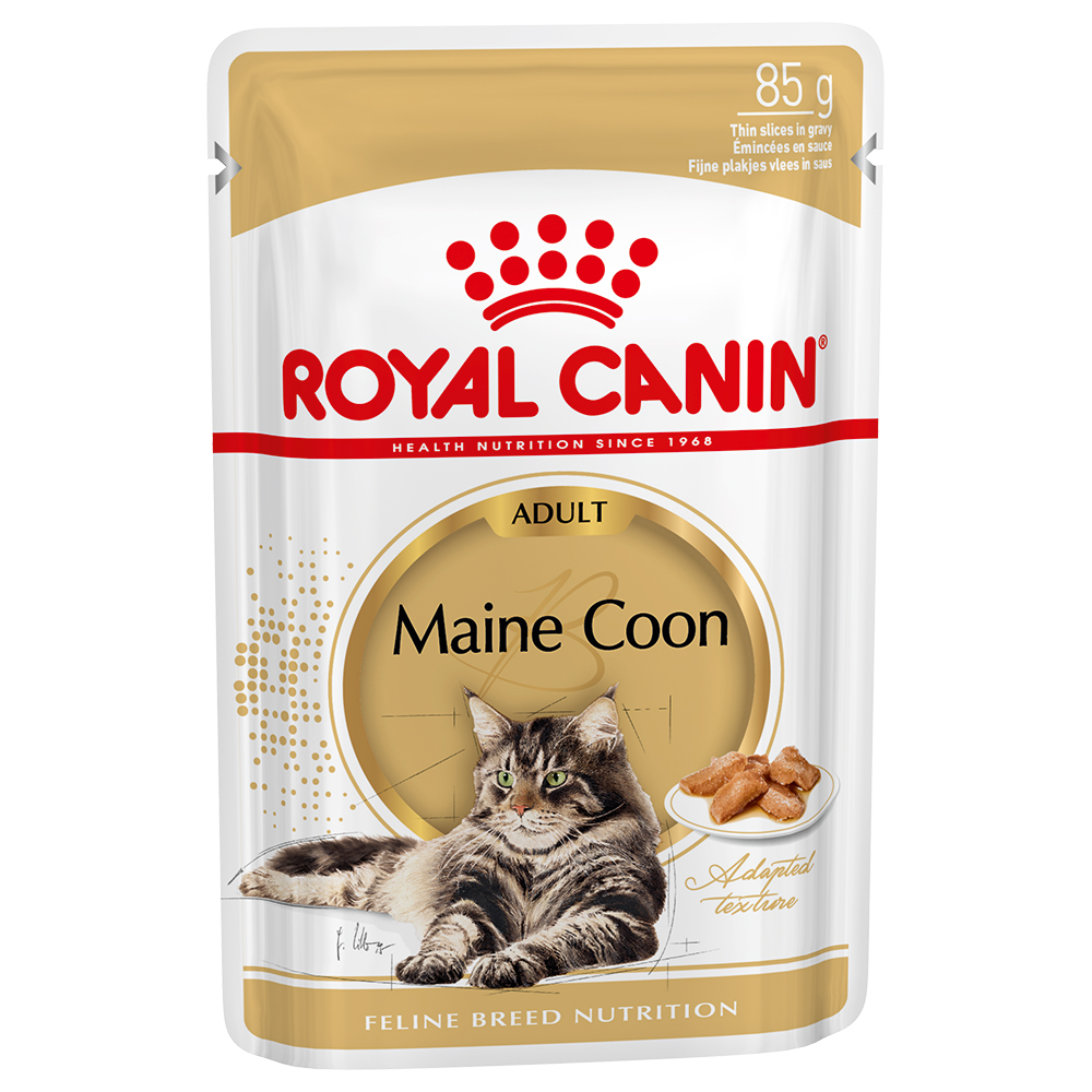 Royal Canin Breed Maine Coon Adult in Soße - 48 x 85 g von Royal Canin Breed
