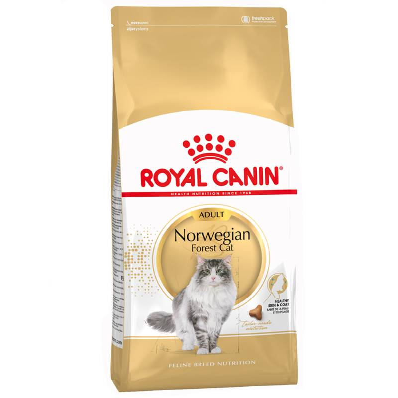Royal Canin Norwegische Waldkatze Adult - Sparpaket: 2 x 10 kg von Royal Canin Breed