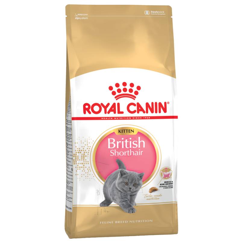 Royal Canin British Shorthair Kitten Sparpaket: 2 x 10 kg von Royal Canin Breed
