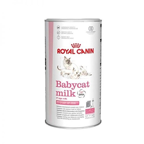 Haustier Katze Snacks Futter Katzenfutter Cat Food Royal Canin Babycat Milk 300g-1PACK von Royal Canin Cat