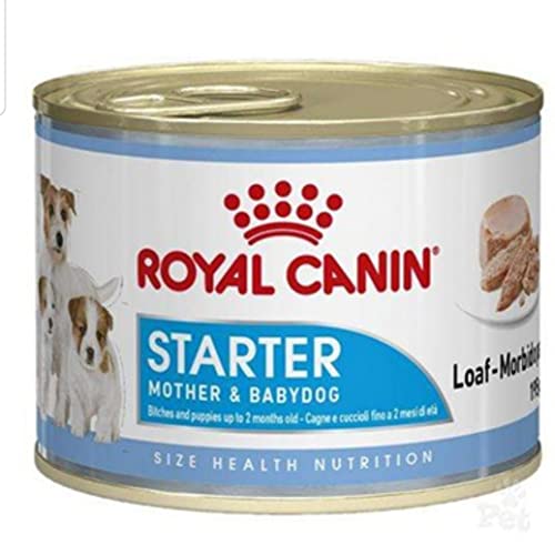 Royal Canin Hundefutter Starter mousse, 195g, 12-er Pack von ROYAL CANIN