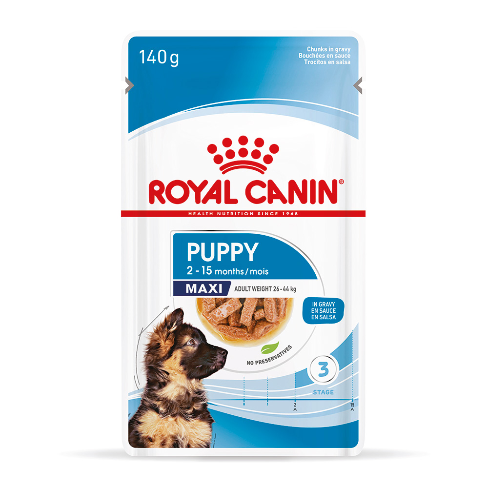 Royal Canin Maxi Puppy in Soße - Sparpaket: 40 x 140 g Royal Canin Maxi Puppy in Soße - Sparpaket: 40 x 140 g von Royal Canin Size