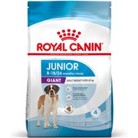 Sparpaket Royal Canin Size Giant - Giant Junior (2 x 15 kg) von Royal Canin Size