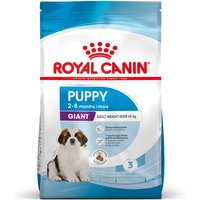 Sparpaket Royal Canin Size Giant - Giant Puppy (2 x 15 kg) von Royal Canin Size