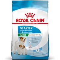 Sparpaket Royal Canin Size Mini - Mini Starter Mother & Babydog (2 x 8 kg) von Royal Canin Size