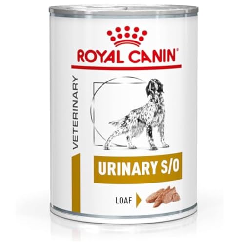 Royal Canin Veterinary Urinary S/O Canine Mousse | 12 x 410 g | Diät-Alleinfuttermittel für ausgewachsene Hunde von ROYAL CANIN