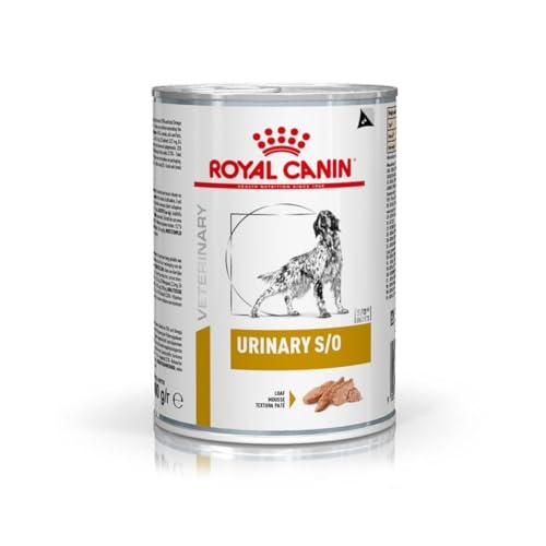Royal Canin Veterinary URINARY S /O Canine Mousse | 12 x 410 g | Diät-Alleinfuttermittel für ausgewachsene Hunde | Für Hunde mit Harnproblemen wie Struvitkristallen und -steinen von ROYAL CANIN