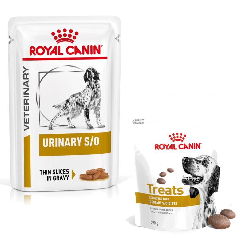 Royal Canin Veterinary Canine Urinary + 3 x 230 g Snacks gratis! - 12 x 100 g S/O in Soße von Royal Canin Veterinary Diet