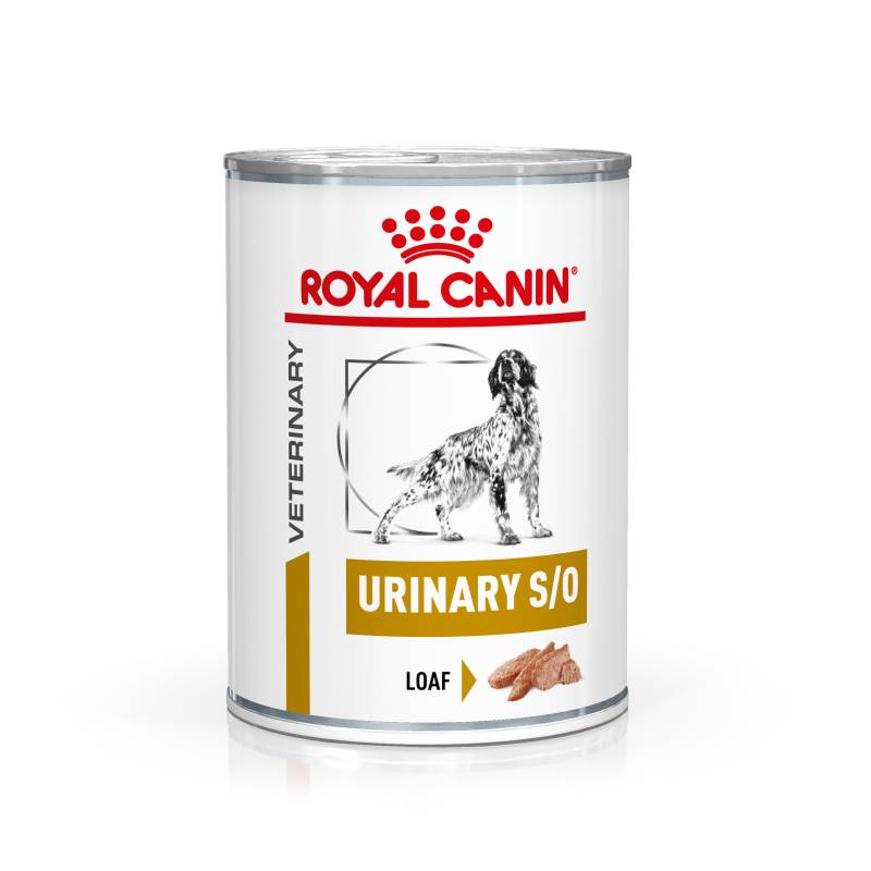 Royal Canin Veterinary Canine Urinary S/O Mousse - 12 x 410 g von Royal Canin Veterinary Diet