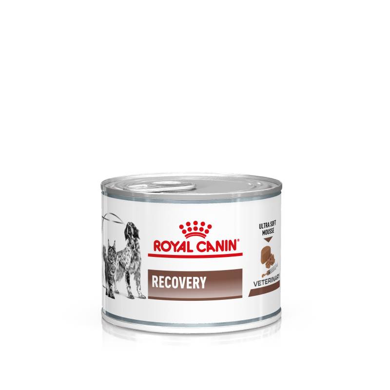 Royal Canin Veterinary Feline Recovery Ultra Soft Mousse - Sparpaket: 24 x 195 g von Royal Canin Veterinary Diet