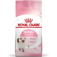 ROYAL CANIN Kitten 2x10 kg von Royal Canin