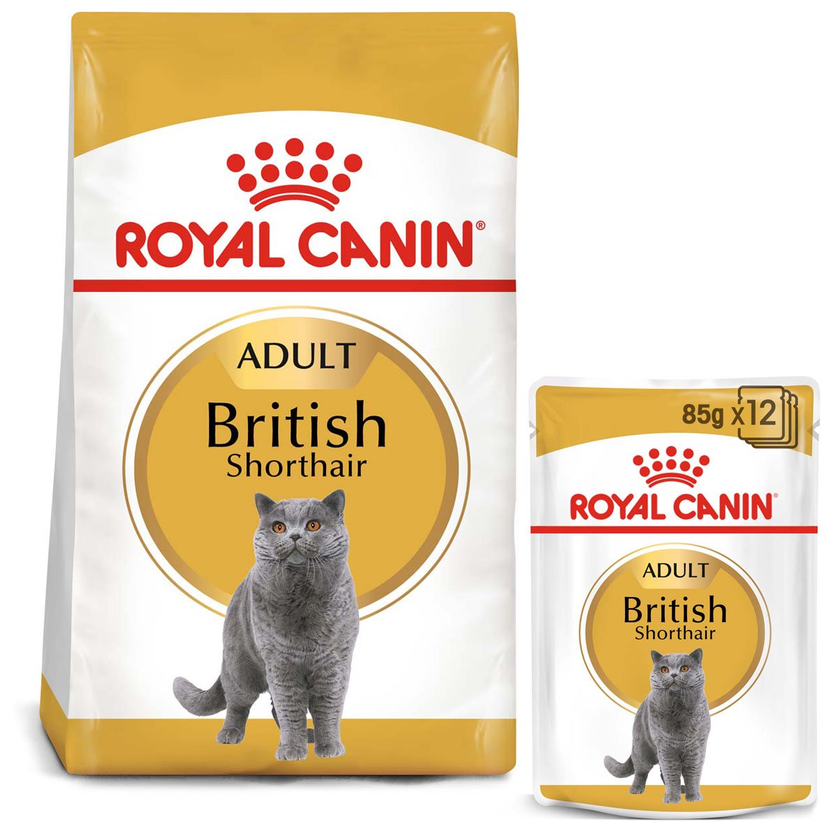 ROYAL CANIN ADULT British Shorthair 2kg + Nassfutter in Soße 12x85g von Royal Canin