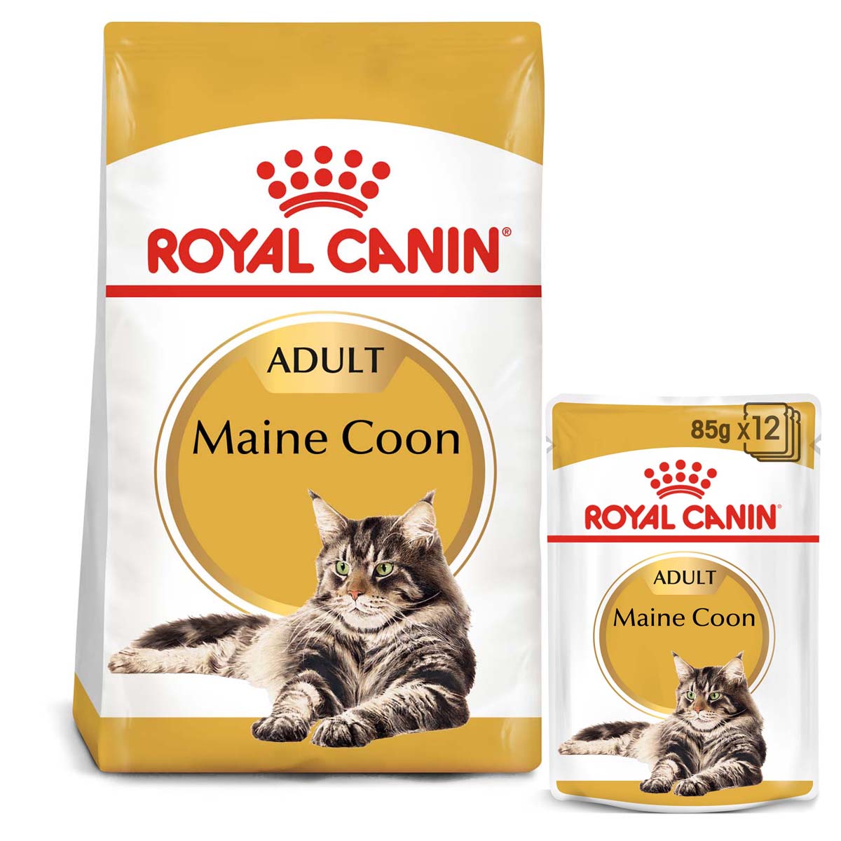 ROYAL CANIN ADULT Maine Coon 10kg + Nassfutter in Soße 48x85g von Royal Canin