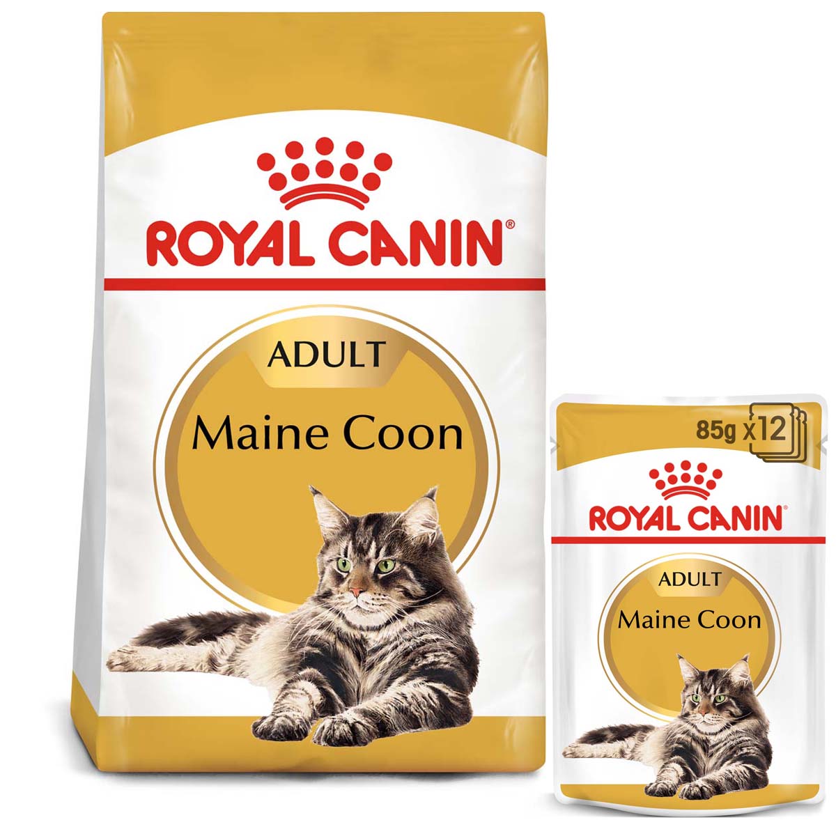 ROYAL CANIN ADULT Maine Coon 2kg + Nassfutter in Soße 12x85g von Royal Canin