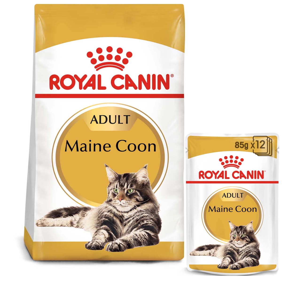 ROYAL CANIN ADULT Maine Coon 2kg + Nassfutter in Soße 12x85g ROYAL CANIN ADULT Maine Coon 2kg + Nassfutter in Soße 12x85g von Royal Canin