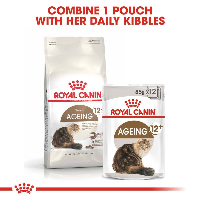ROYAL CANIN AGEING 12+ Trockenfutter 4kg + Nassfutter 12x85g von Royal Canin