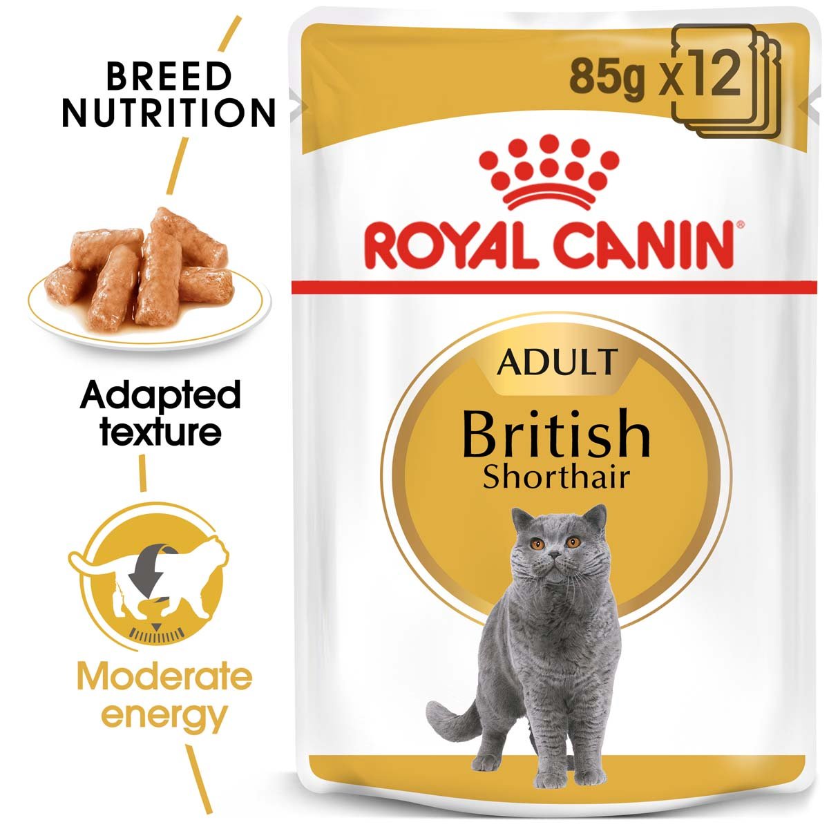 ROYAL CANIN British Shorthair Adult Katzenfutter nass für Britisch Kurzhaar 12x85g von Royal Canin