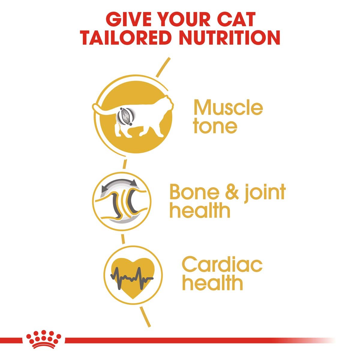 ROYAL CANIN British Shorthair Katzenfutter trocken für Britisch Kurzhaar 10kg + 2kg gratis ROYAL CANIN British Shorthair Katzenfutter trocken für Britisch Kurzhaar 10kg + 2kg gratis von Royal Canin