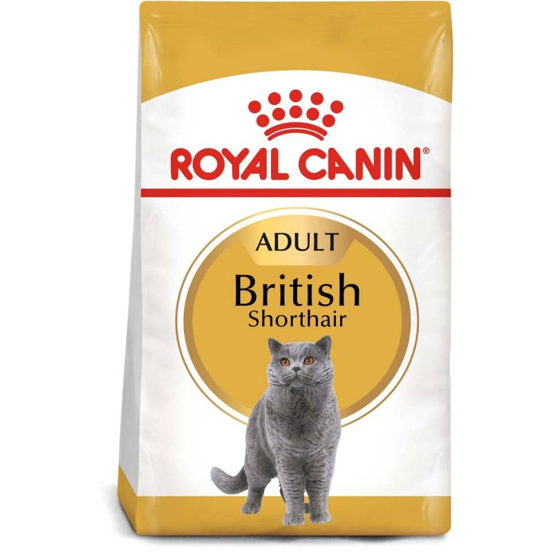 ROYAL CANIN British Shorthair Katzenfutter trocken für Britisch Kurzhaar 10kg von Royal Canin