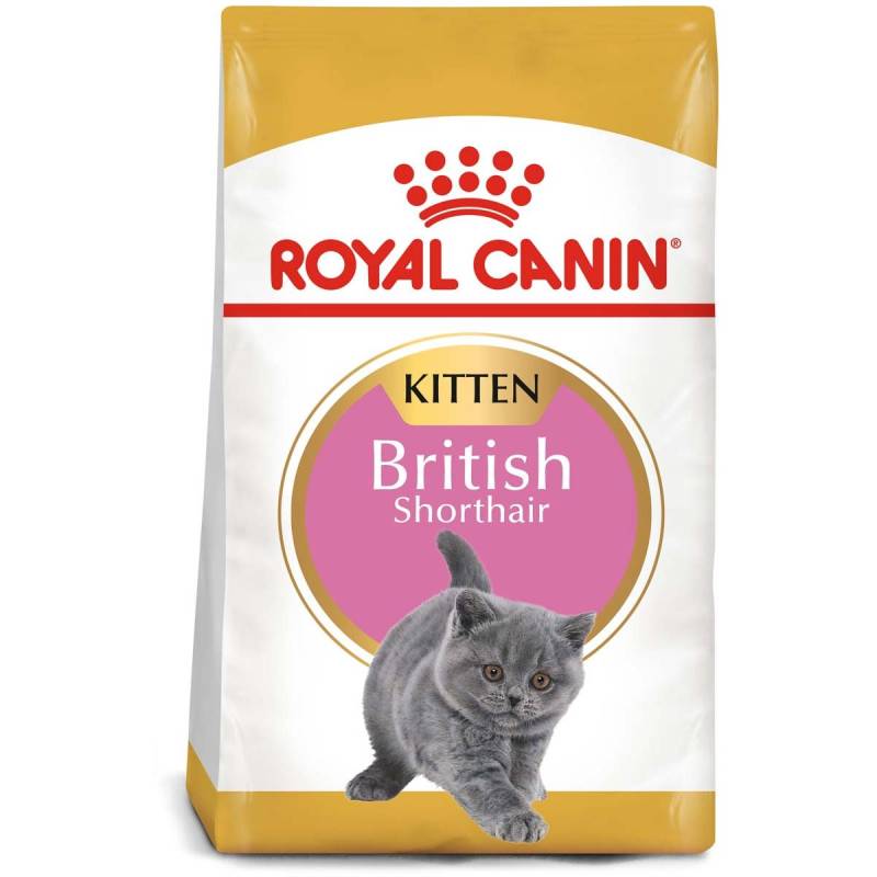 ROYAL CANIN British Shorthair Kittenfutter trocken für Kätzchen 10 kg von Royal Canin