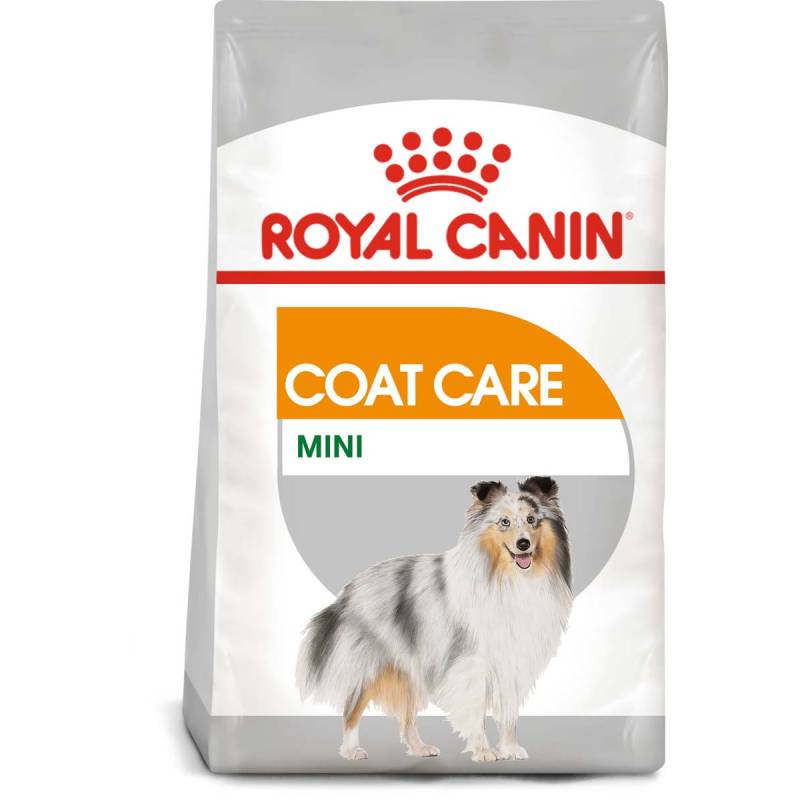 ROYAL CANIN COAT CARE MINI Trockenfutter für kleine Hunde für glänzendes Fell 2x8kg von Royal Canin