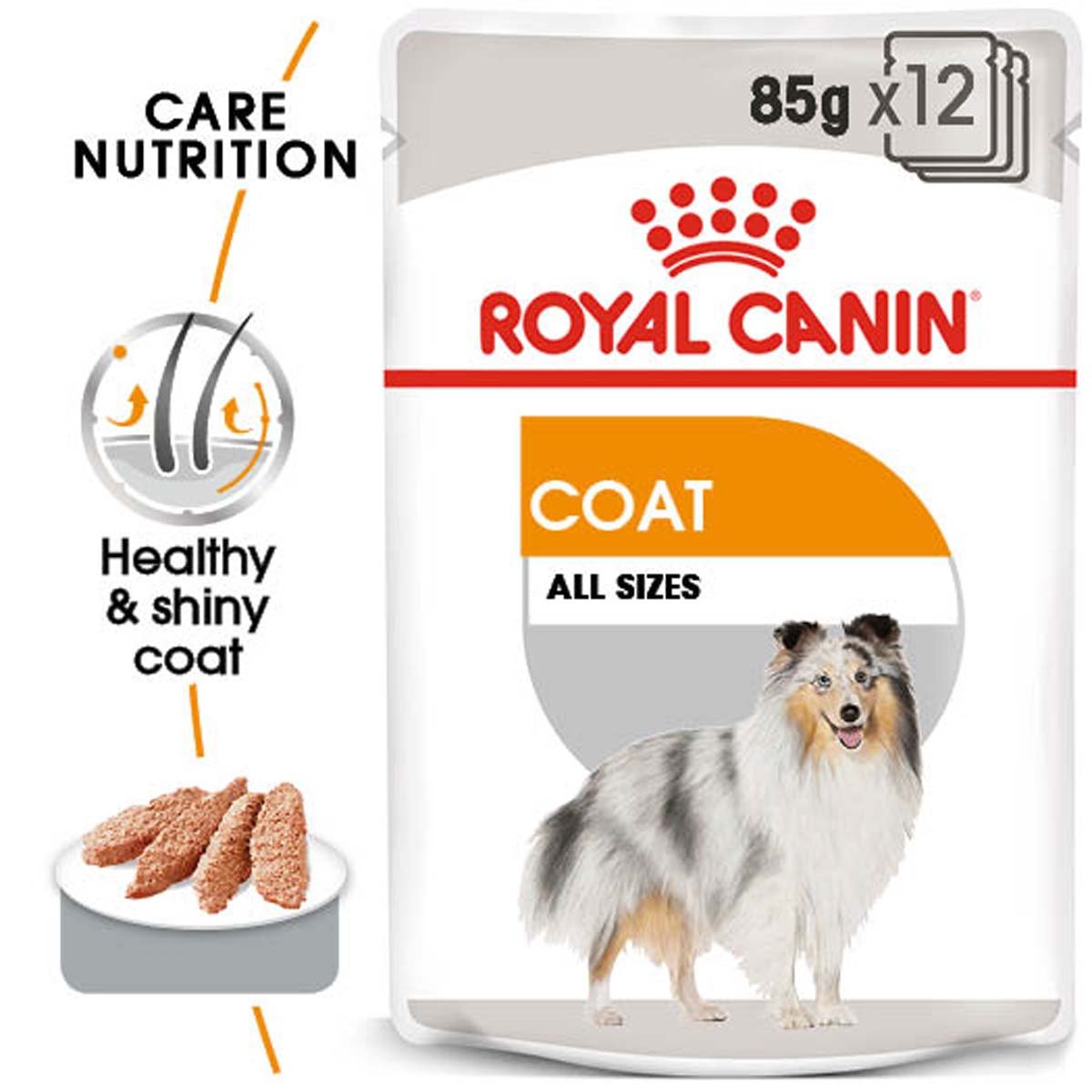 ROYAL CANIN COAT CARE Nassfutter für glänzendes Fell 12x85g von Royal Canin