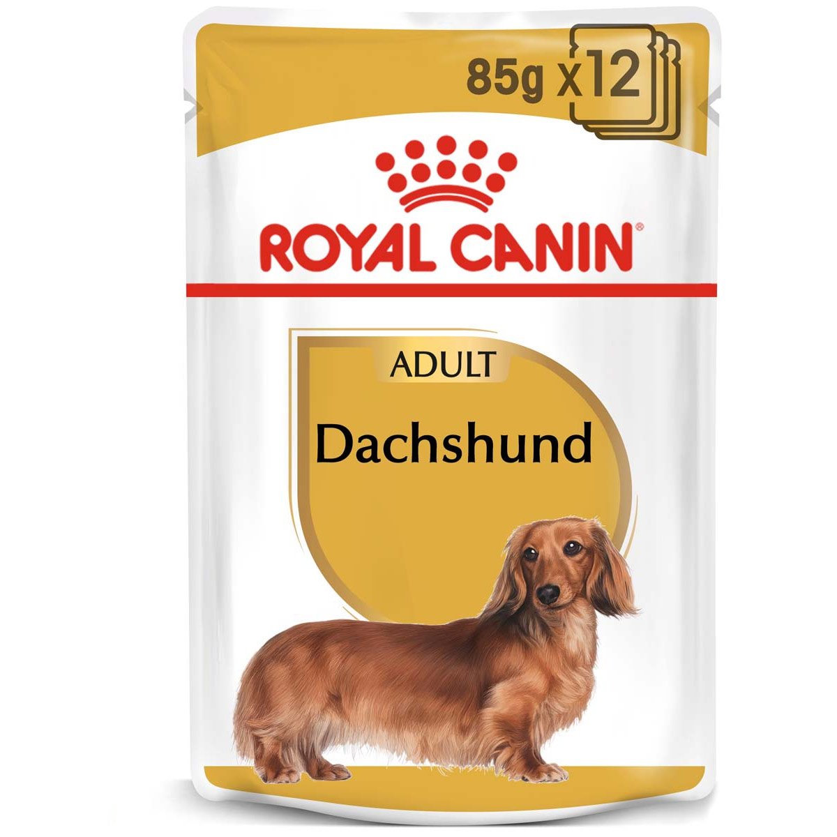 ROYAL CANIN Dachshund Adult Hundefutter nass für Dackel 12x85g von Royal Canin