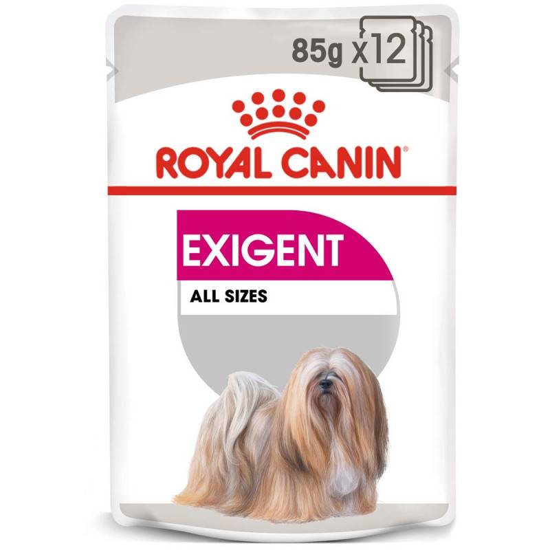 ROYAL CANIN EXIGENT Nassfutter für wählerische Hunde 12x85g von Royal Canin