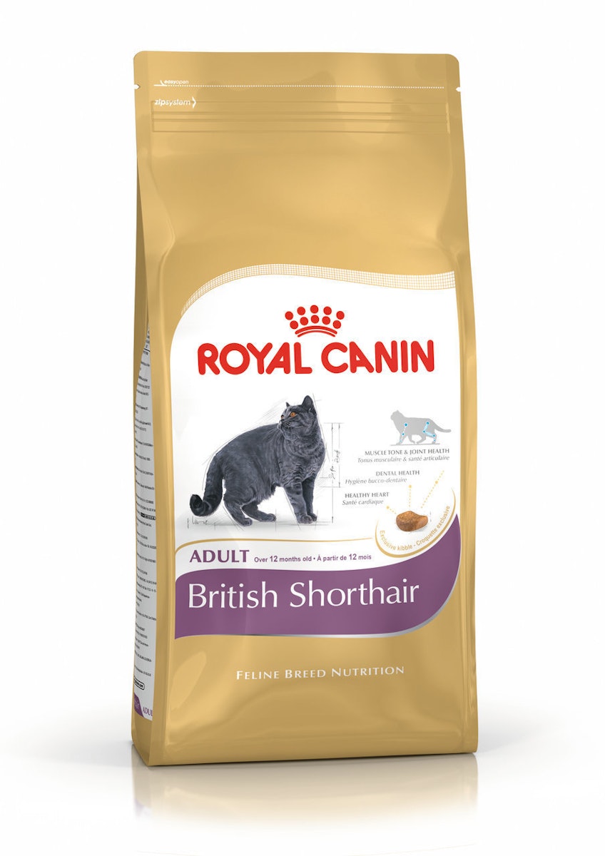 ROYAL CANIN FBN British Shorthair Adult Katzentrockenfutter von Royal Canin