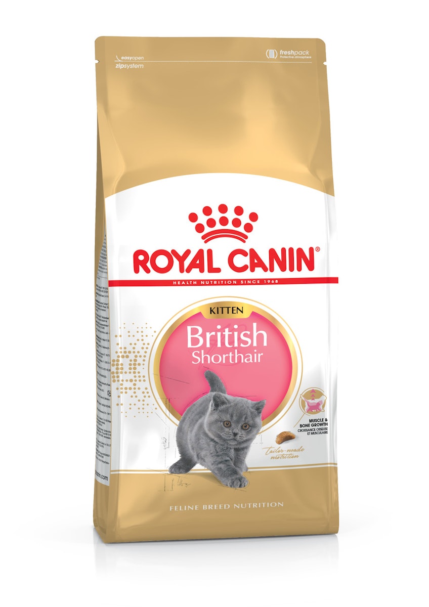 ROYAL CANIN FBN British Shorthair Kitten Katzentrockenfutter von Royal Canin