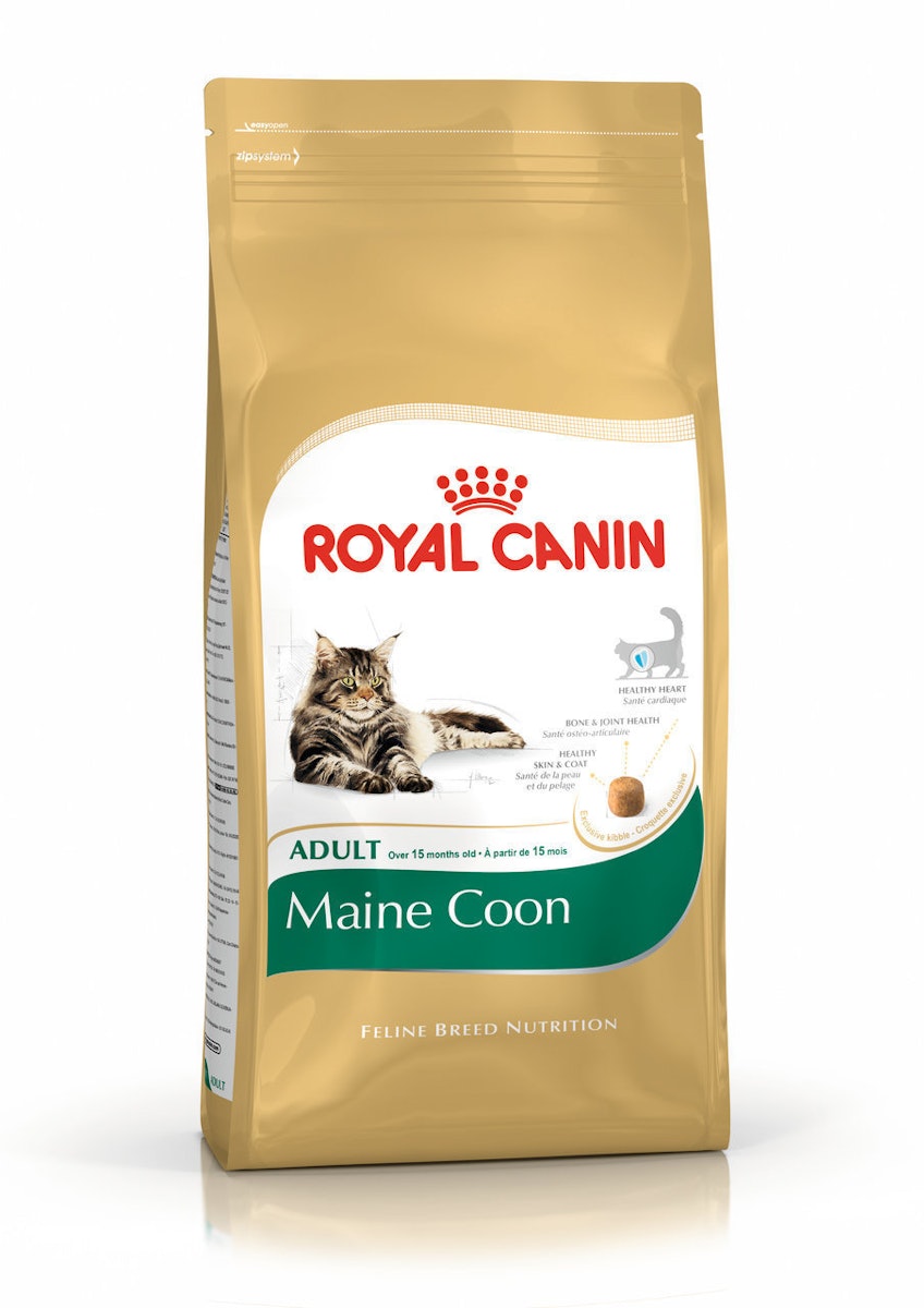 ROYAL CANIN FBN Maine Coon Adult Katzentrockenfutter von Royal Canin