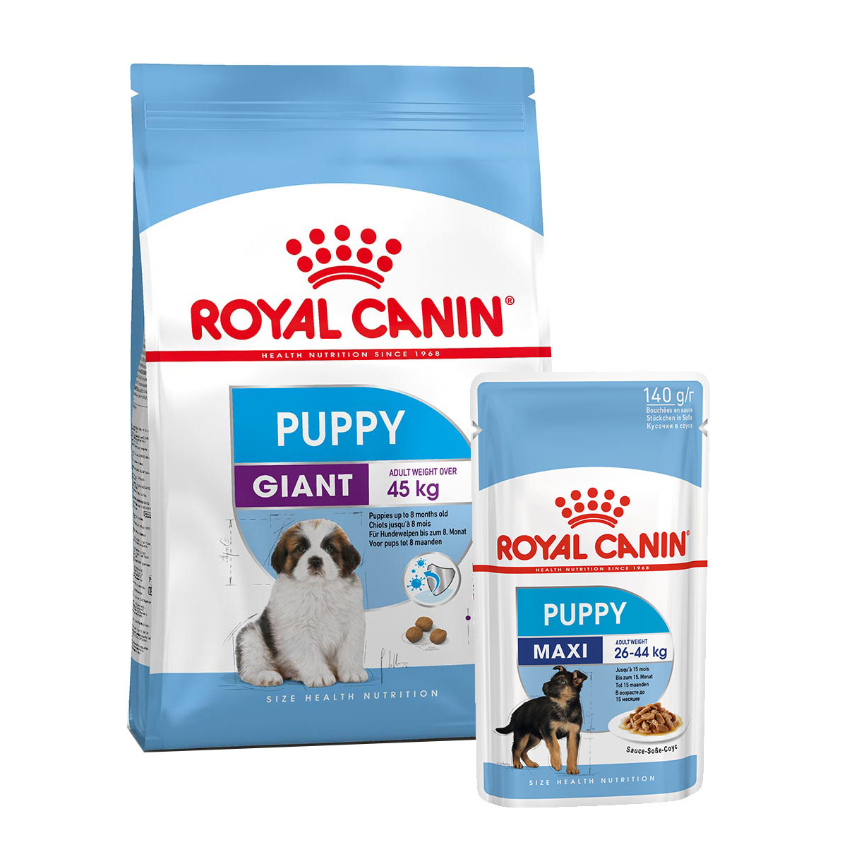 ROYAL CANIN Giant Puppy 3,5kg + Maxi Puppy in Soße 10x140g von Royal Canin
