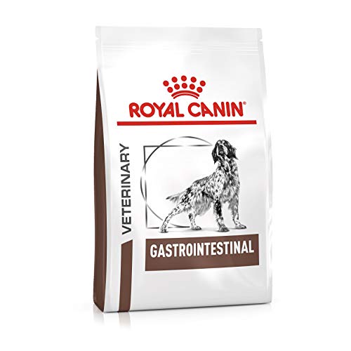 ROYAL CANIN Intestinal Gastro - Dry Dog Food 15kg von Royal Canin