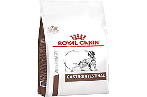 ROYAL CANIN Intestinal Gastro - Dry Dog Food 15kg von Royal Canin Veterinary Diet