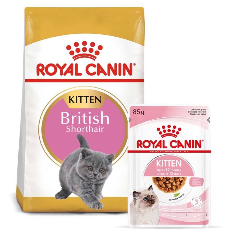 ROYAL CANIN KITTEN British Shorthair 2kg + Kitten in Soße 12x85g von Royal Canin