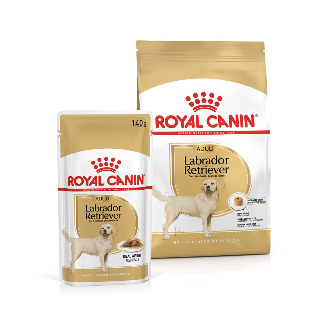 ROYAL CANIN Labrador Retriever Adult 3kg + Labrador Adult in Soße 10x140g von Royal Canin