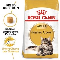 ROYAL CANIN Maine Coon Adult 10kg+2kg von Royal Canin