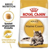 ROYAL CANIN Maine Coon Adult 400 g von Royal Canin