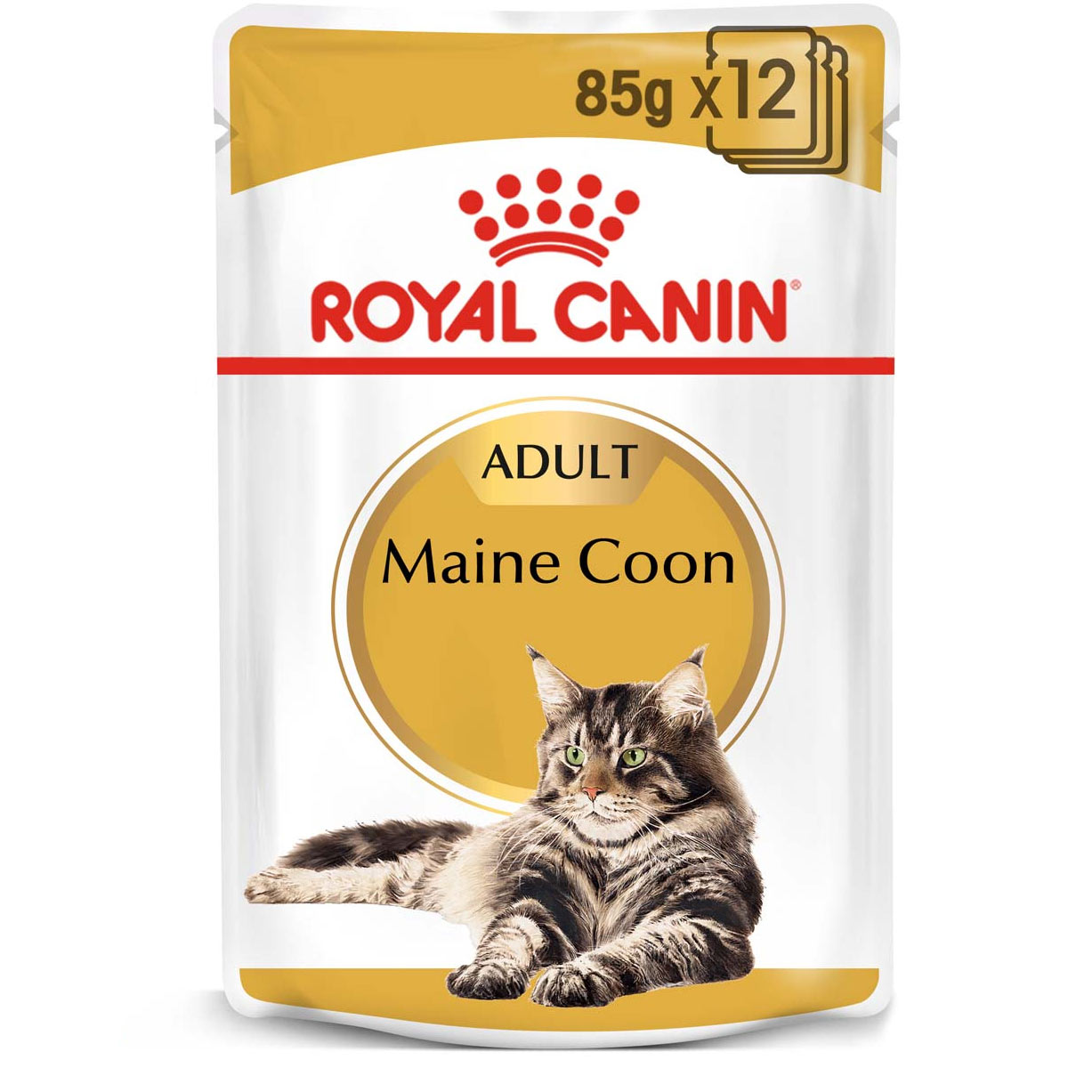 ROYAL CANIN Maine Coon Adult Katzenfutter nass 48x85g von Royal Canin