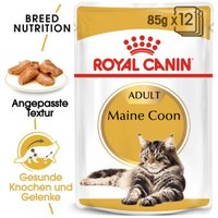 ROYAL CANIN Maine Coon Adult in Soße 48x85 g von Royal Canin