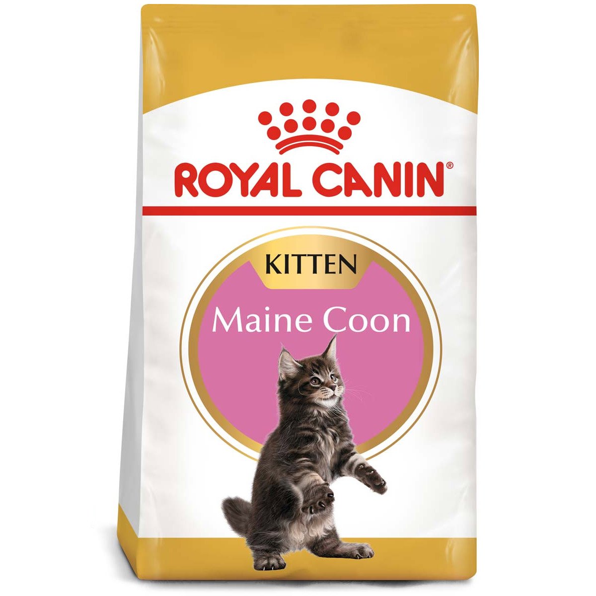 ROYAL CANIN Maine Coon Trockenfutter für Kätzchen 10 kg von Royal Canin