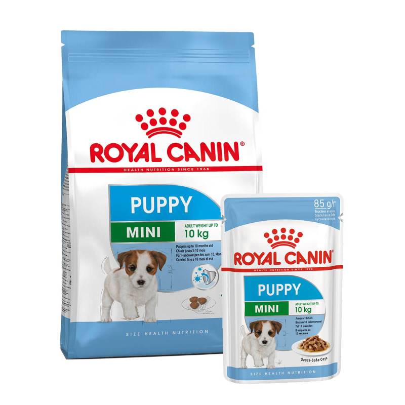 ROYAL CANIN Mini Puppy 2kg + Mini Puppy in Soße 12x85g von Royal Canin