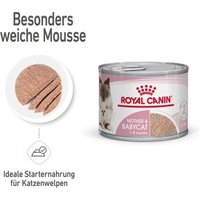 ROYAL CANIN Mother & Babycat Mousse 12x195 g von Royal Canin
