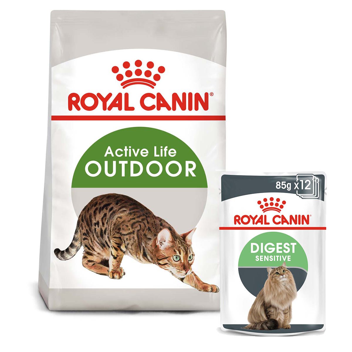 ROYAL CANIN OUTDOOR Trockenfutter 2kg + Digest Sensitive Nassfutter 12x85g von Royal Canin