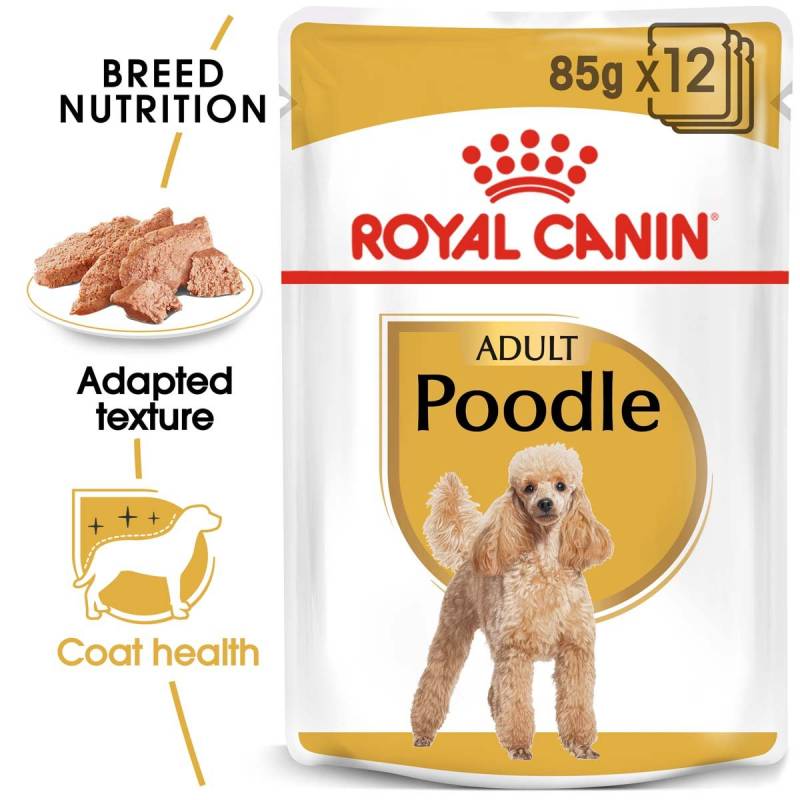 ROYAL CANIN Poodle Adult in Soße Hundefutter nass für Pudel 12x85g von Royal Canin