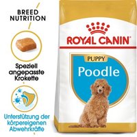 ROYAL CANIN Poodle Puppy 3kg von Royal Canin