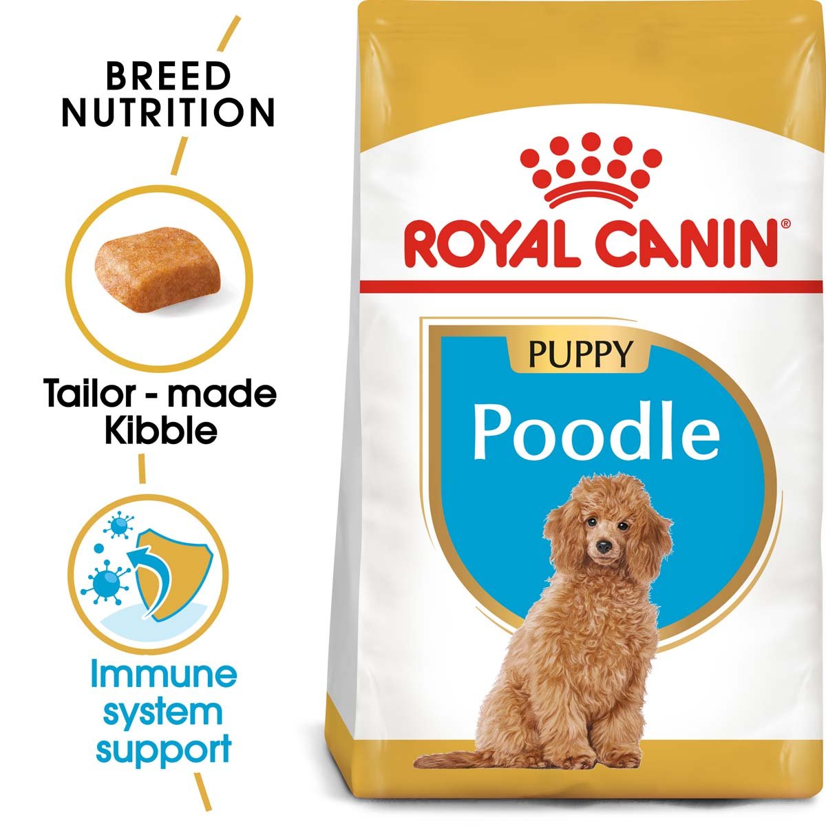 ROYAL CANIN Poodle Puppy Welpenfutter trocken für Pudel 2x3kg von Royal Canin