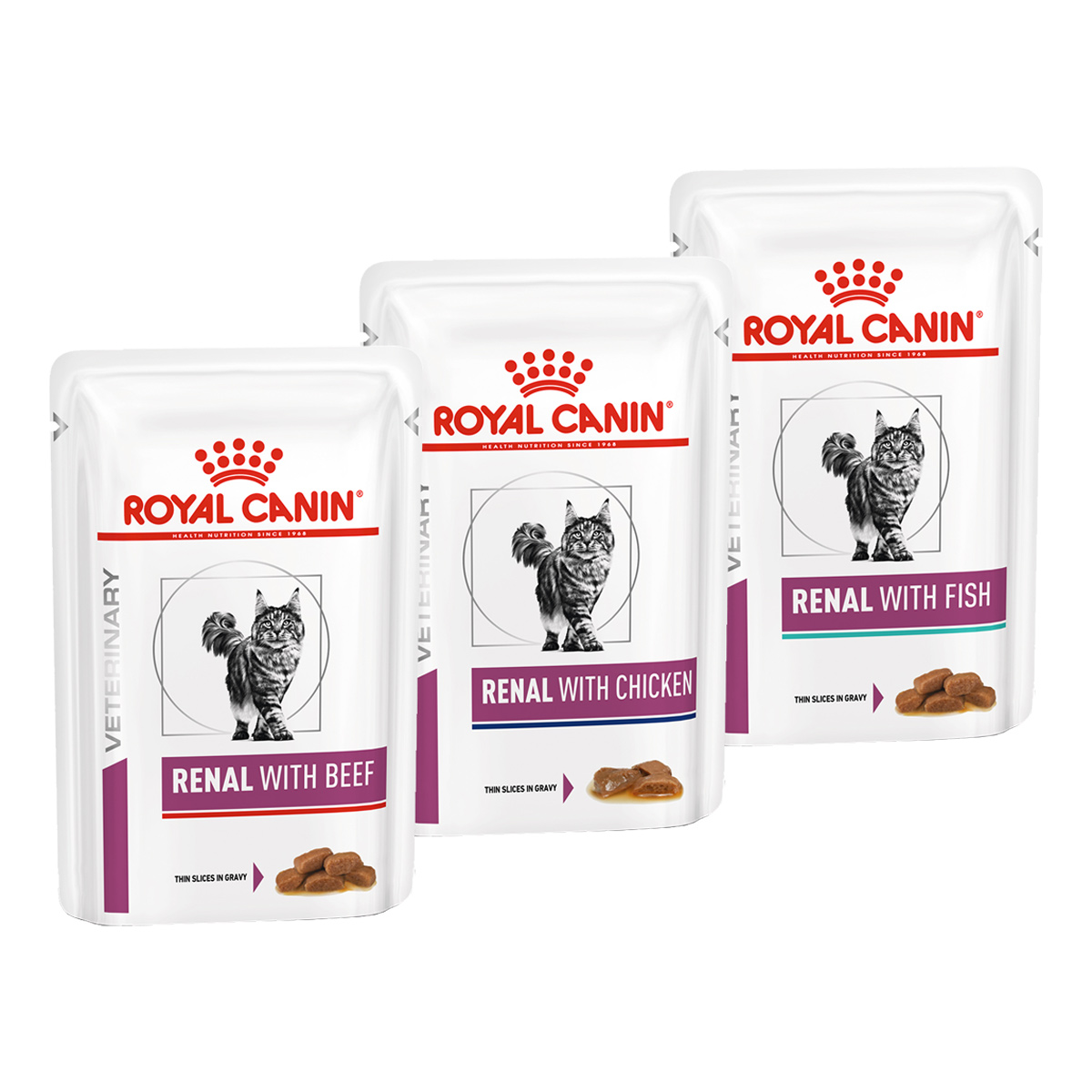 ROYAL CANIN RENAL Feine Stückchen in Sosse Mixpaket 48x85g ROYAL CANIN RENAL Feine Stückchen in Sosse Mixpaket 48x85g von Royal Canin