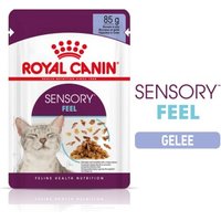 ROYAL CANIN SENSORY Feel in Gelee für wählerische Katzen 12x85g von Royal Canin